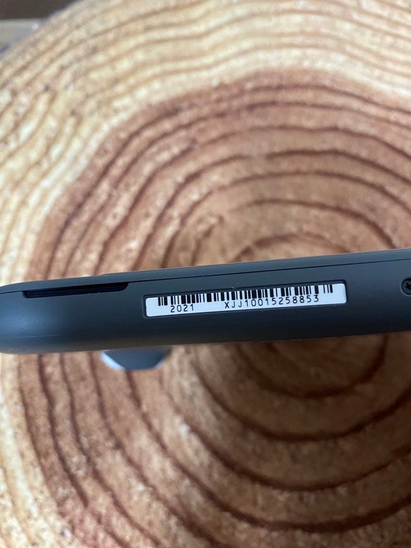 Nintendo Switch Lite グレー　本体のみ　箱無し