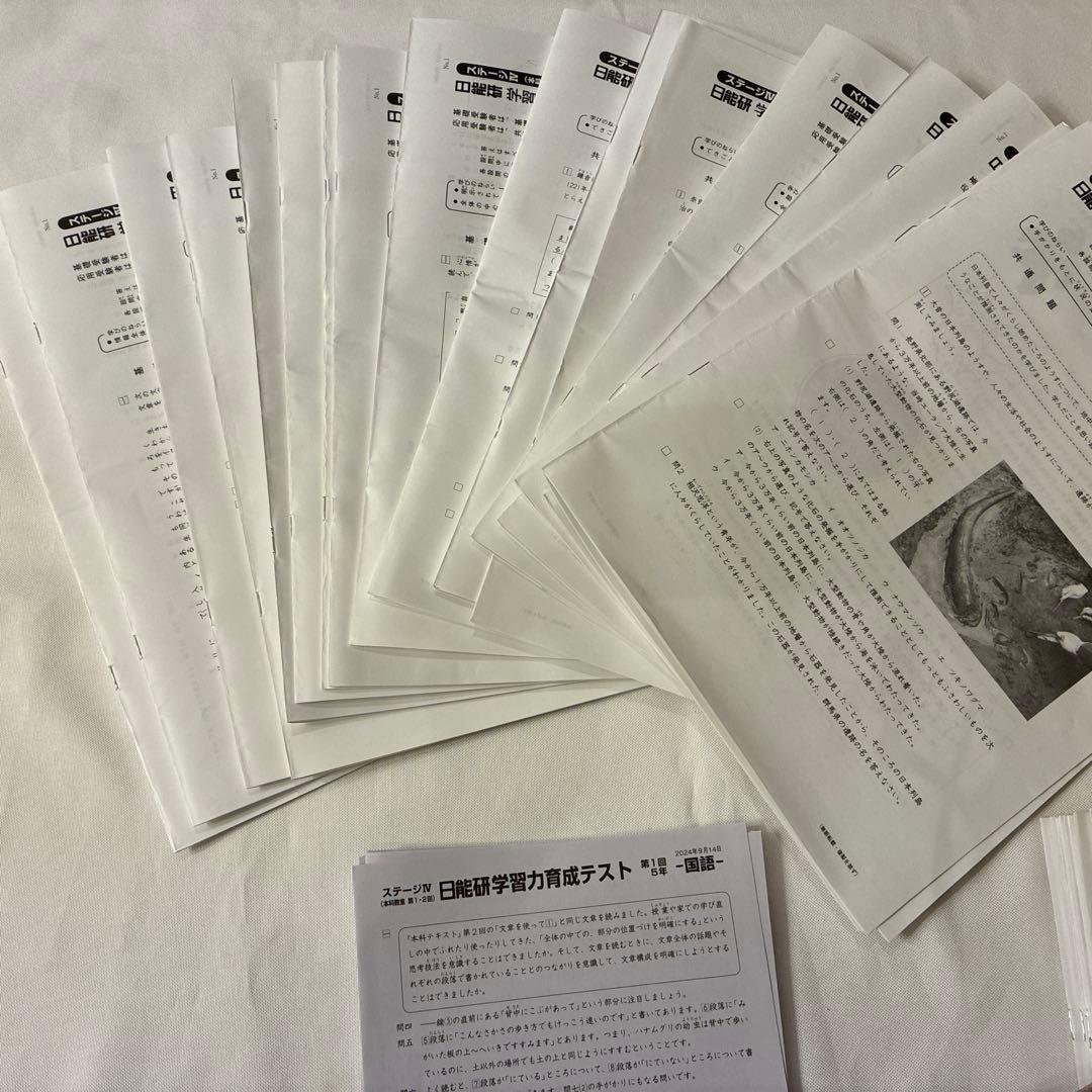 2024年5年　前期 後期フルセット 育成テスト4科 日能研