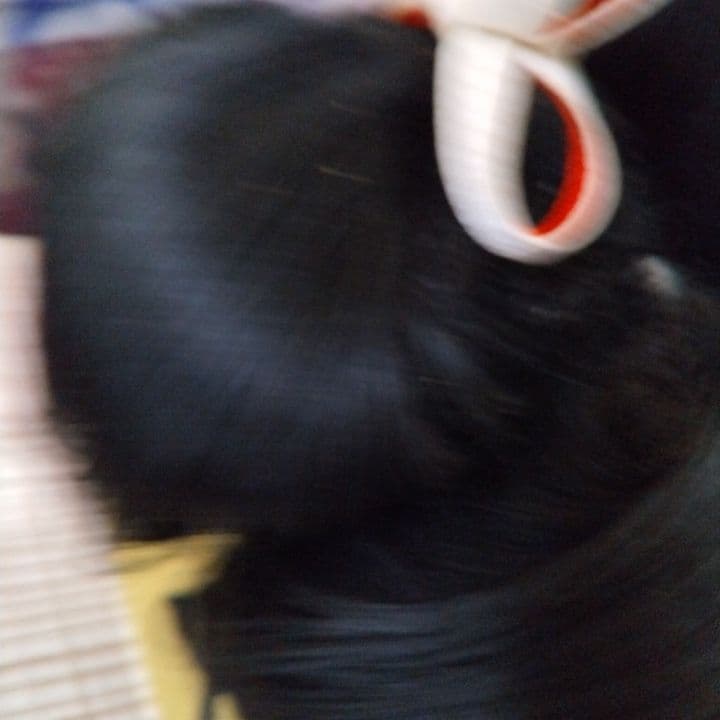 黒い伝統的な日本髪