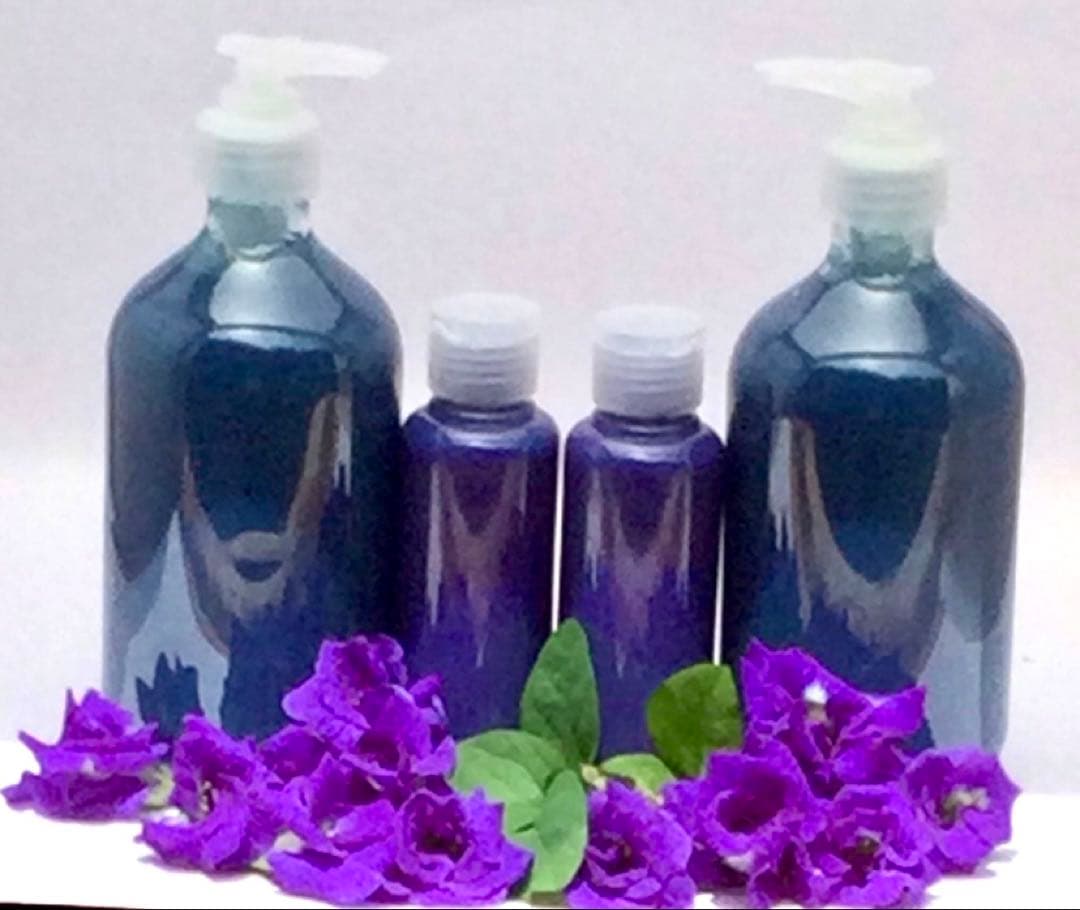 ●乾燥バタフライピーの花100gx5袋まとめてอัญชันAnchanアンチャンの花