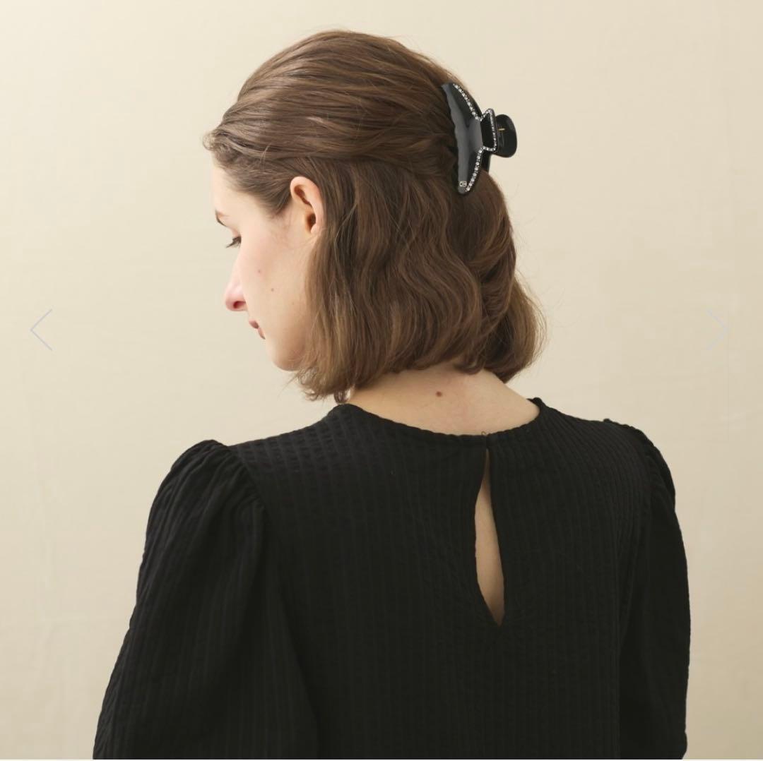 ALEXANDRE DE PARIS Mクリップ(黒)