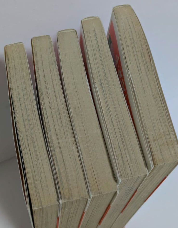 愛の泉 全5巻 完結 全巻セット 細川知栄子 昭和レトロ