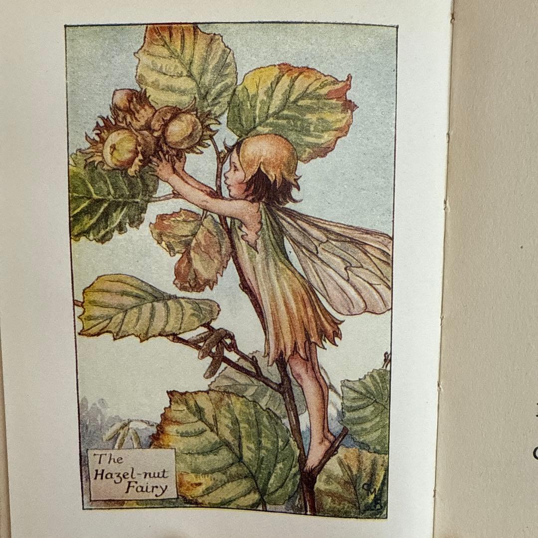 稀少アンティーク愛らしい妖精達の挿絵イギリス絵本　洋書　古書ジャンクジャーナルに