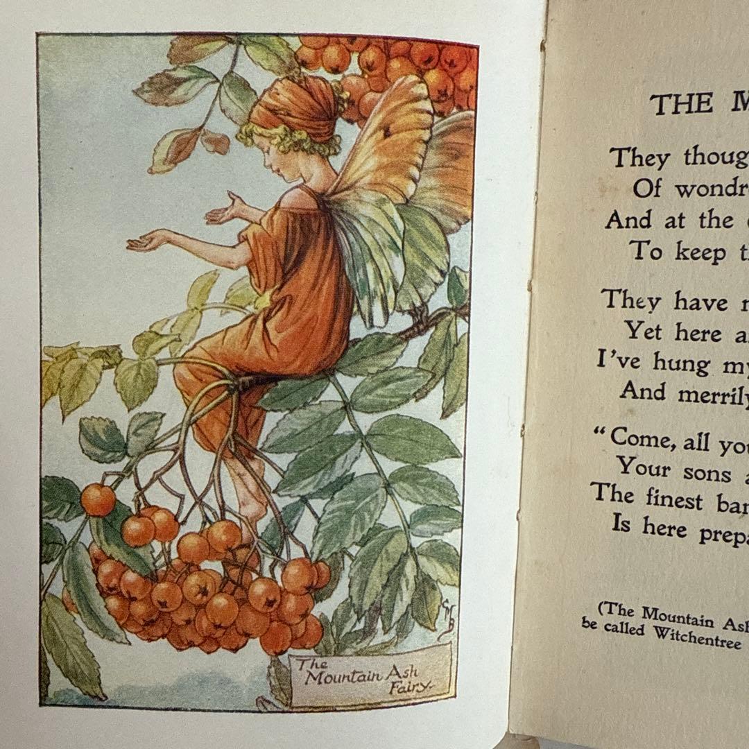 稀少アンティーク愛らしい妖精達の挿絵イギリス絵本　洋書　古書ジャンクジャーナルに
