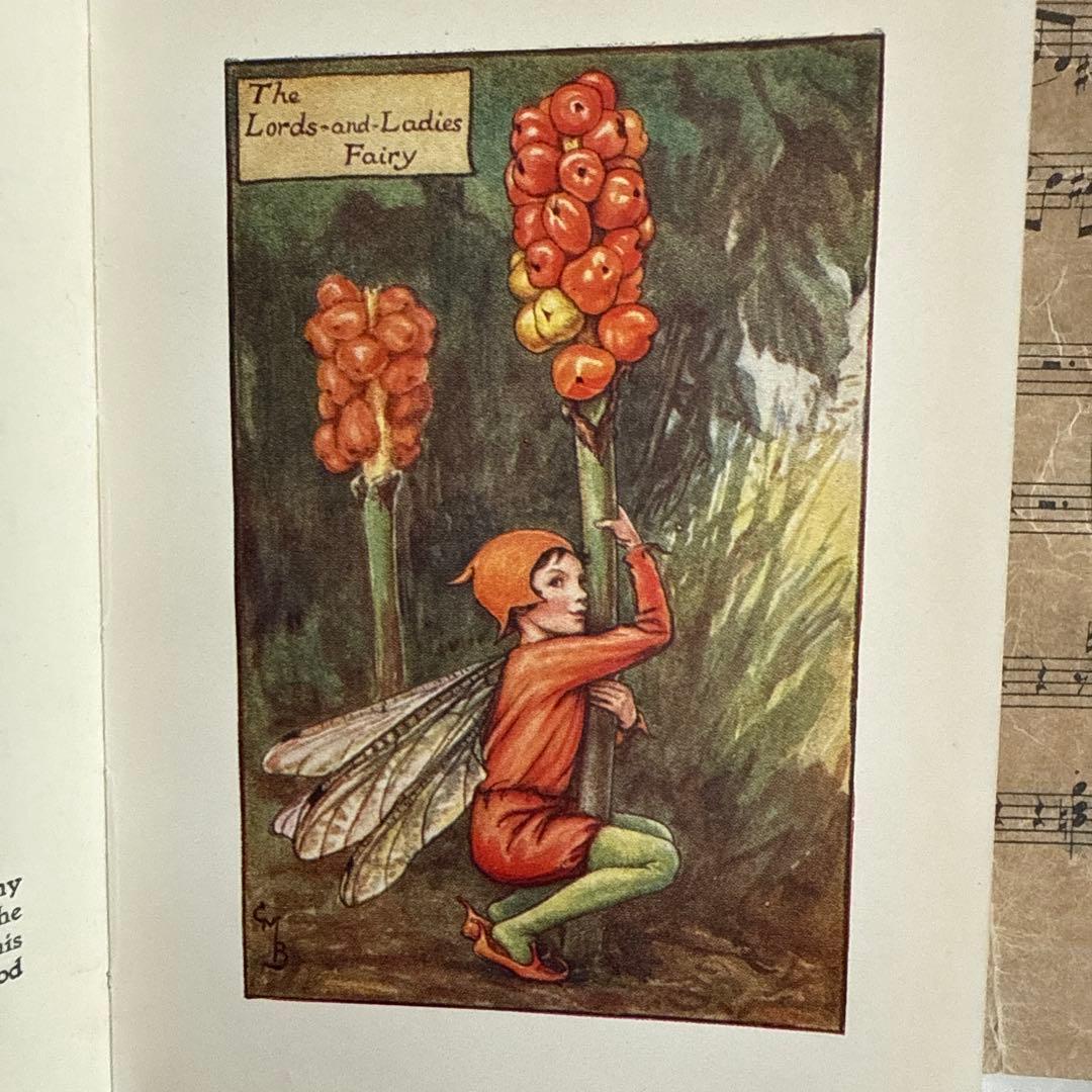 稀少アンティーク愛らしい妖精達の挿絵イギリス絵本　洋書　古書ジャンクジャーナルに