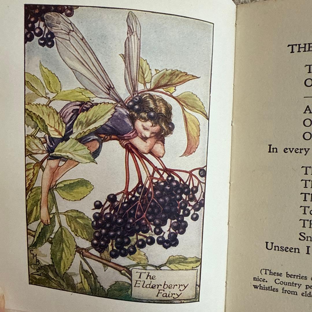 稀少アンティーク愛らしい妖精達の挿絵イギリス絵本　洋書　古書ジャンクジャーナルに