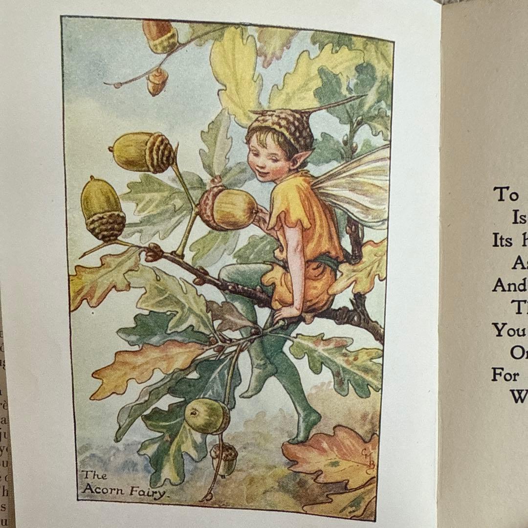 稀少アンティーク愛らしい妖精達の挿絵イギリス絵本　洋書　古書ジャンクジャーナルに