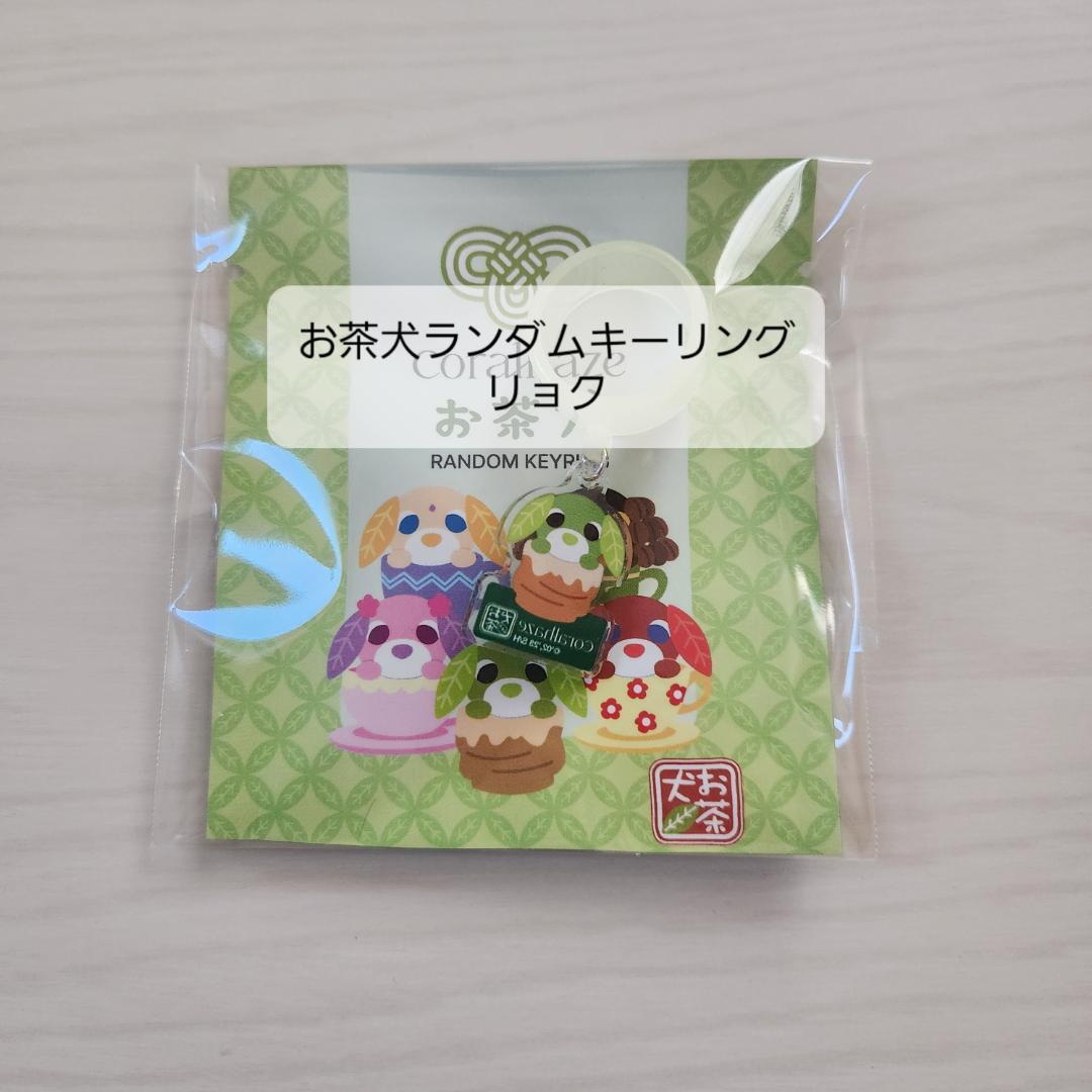 コーラルヘイズ　お茶犬　バラ売り可