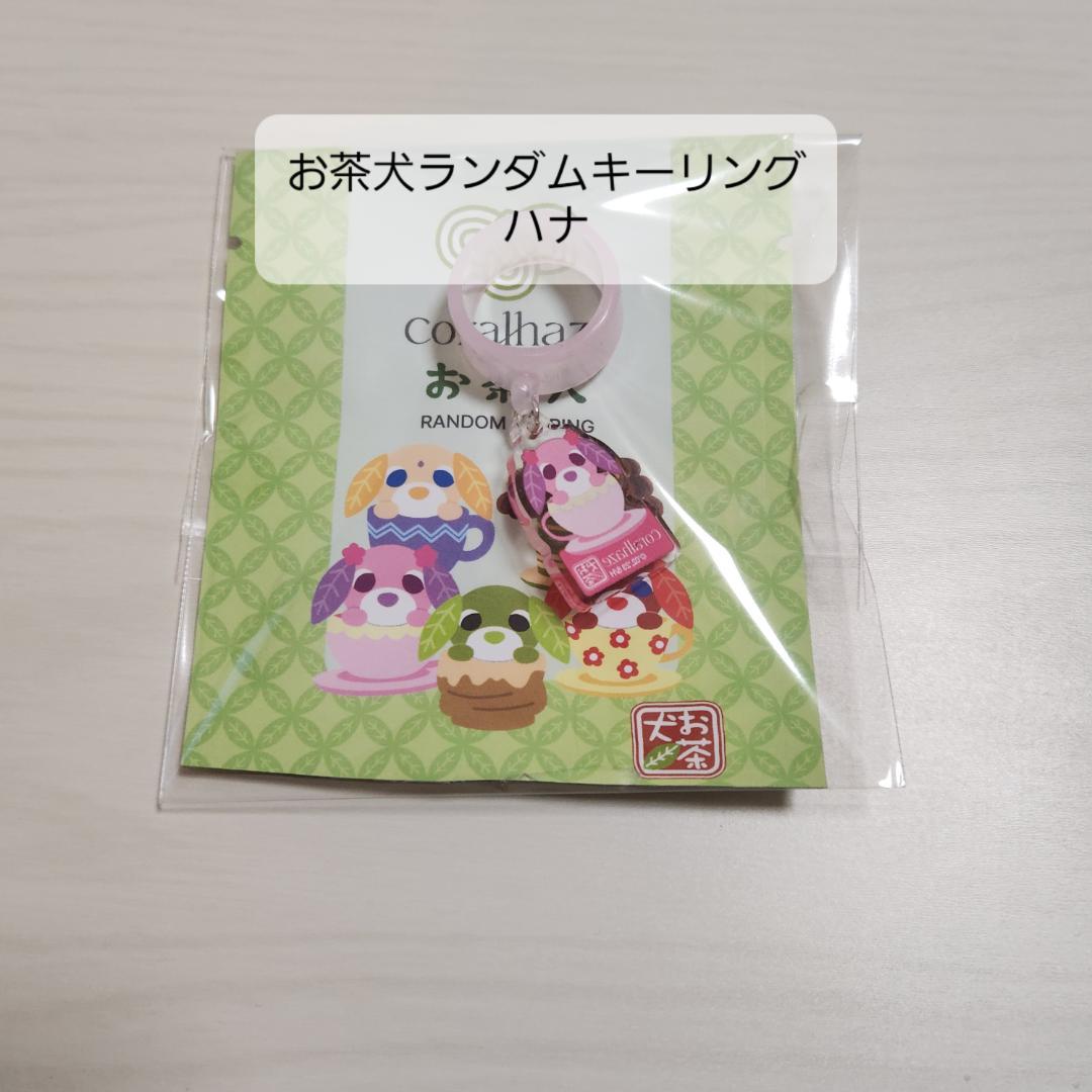 コーラルヘイズ　お茶犬　バラ売り可