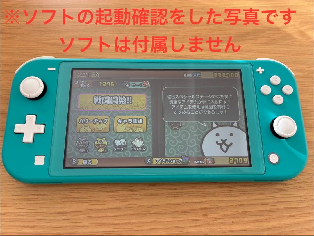 Switch Lite 本体 充電器 セット
