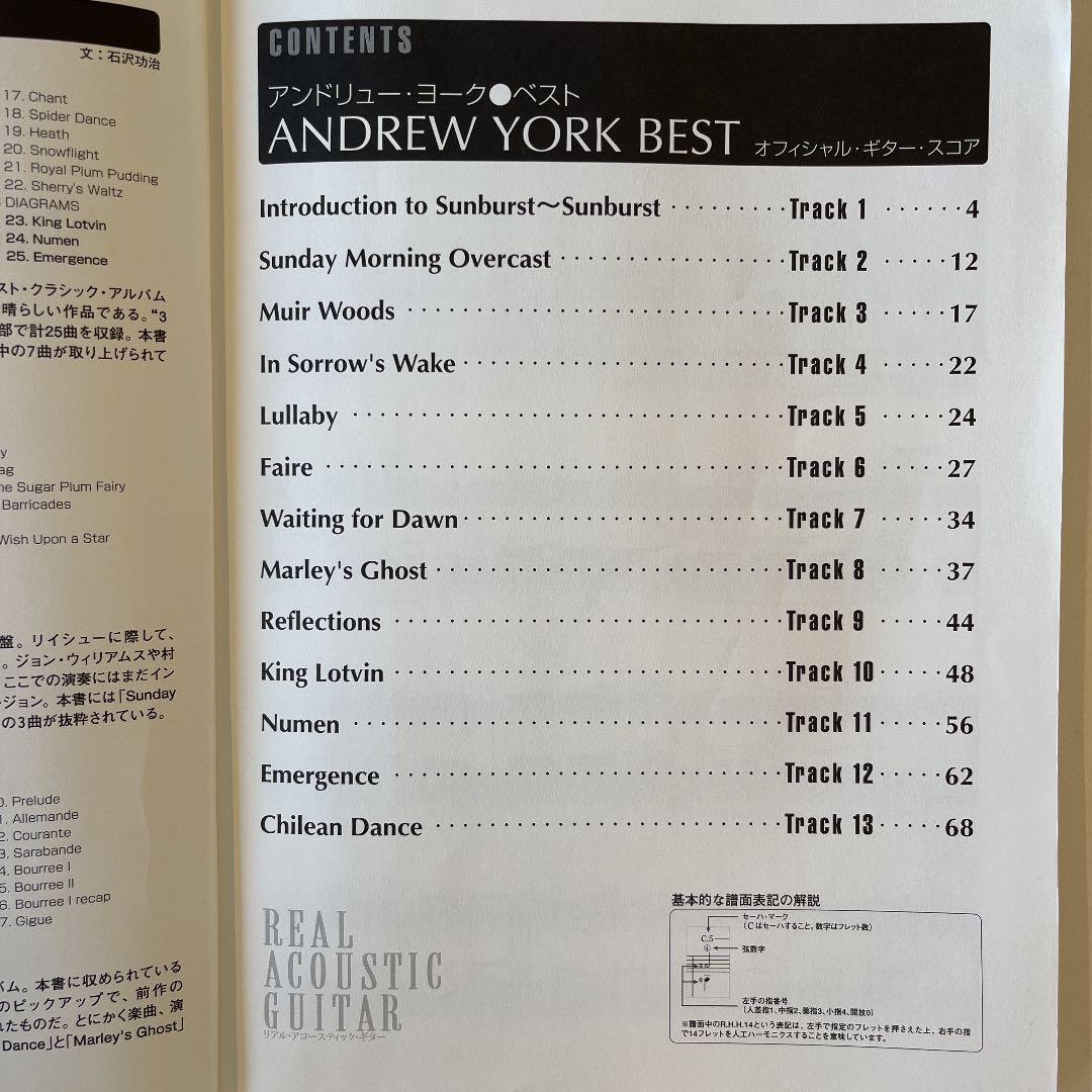 アンドリュー・ヨーク・ベスト : リアル・アコースティック・ギター