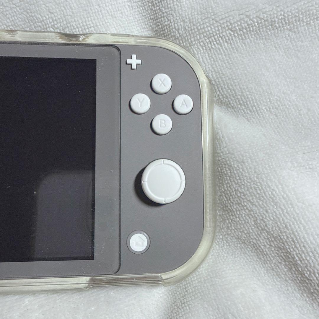 美品 Nintendo Switch Lite グレー 純正充電器 ケース付き