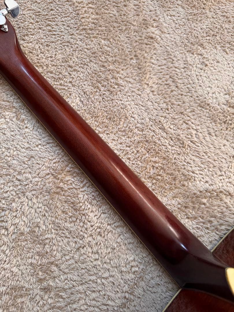 Morris モーリス W-40L レフティ アコギ カタログ付き