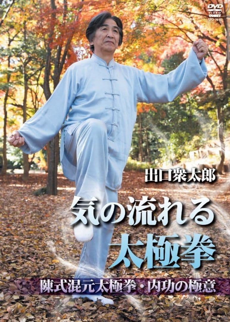 混元太極拳 陳氏太極拳 馮志強 出口衆太郎 VHS•DVDセット [動作確認済]