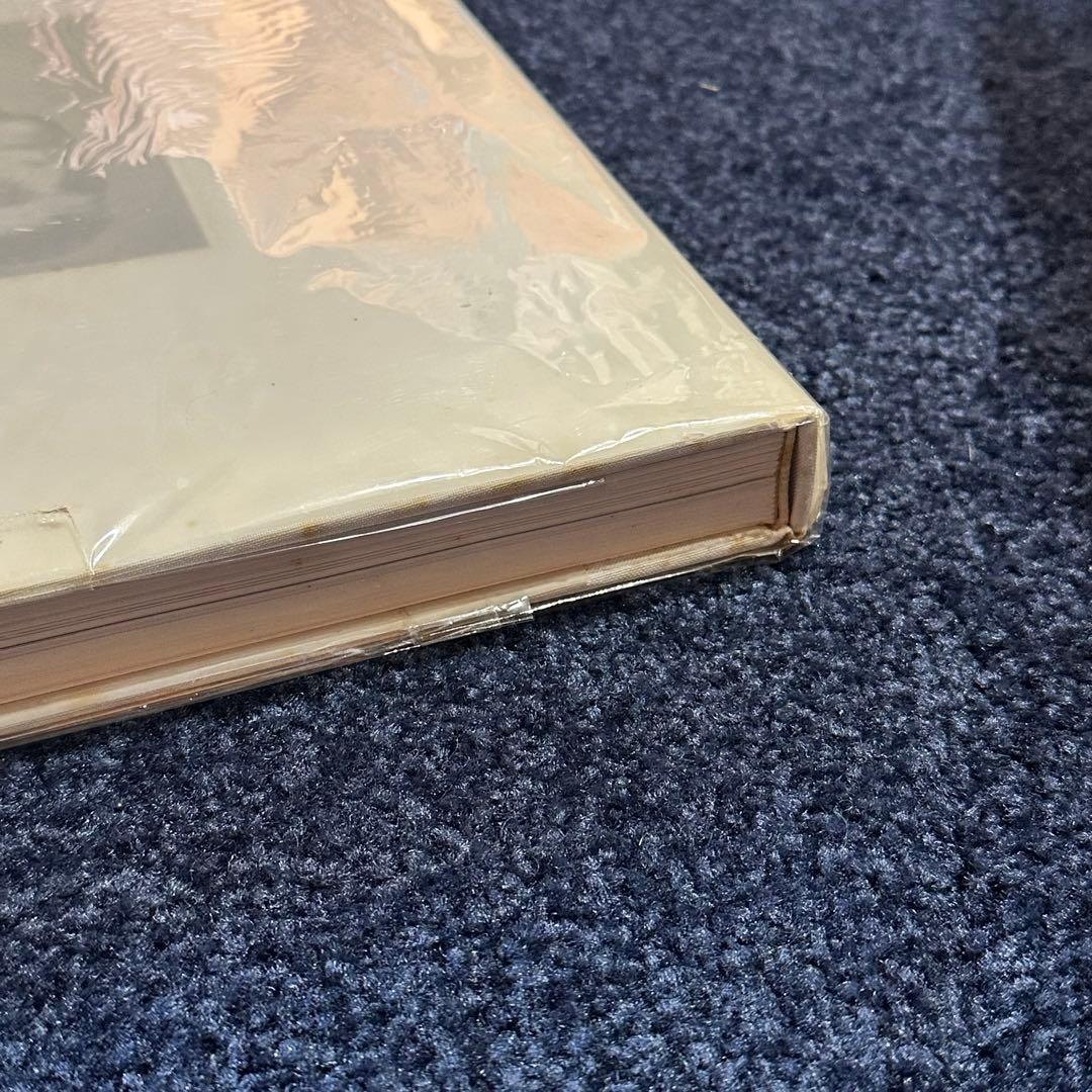 RAF SIMONS REDUX アートブック 絶版 洋書 本 ラフシモンズ