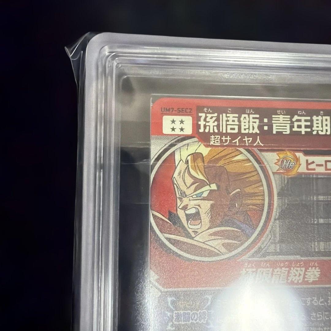 ARS10 UM7-SEC2 孫悟飯 青年期