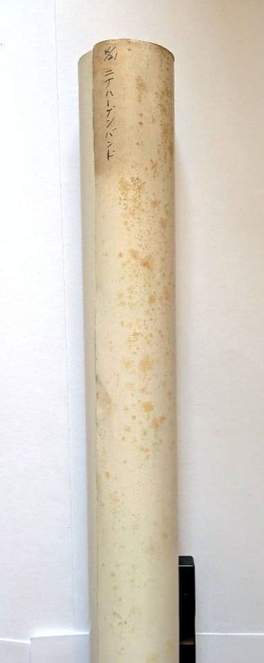 ニナ ハーゲン バンド/ウンバハーゲン 1979年 日本限定 貴重プロモポスター