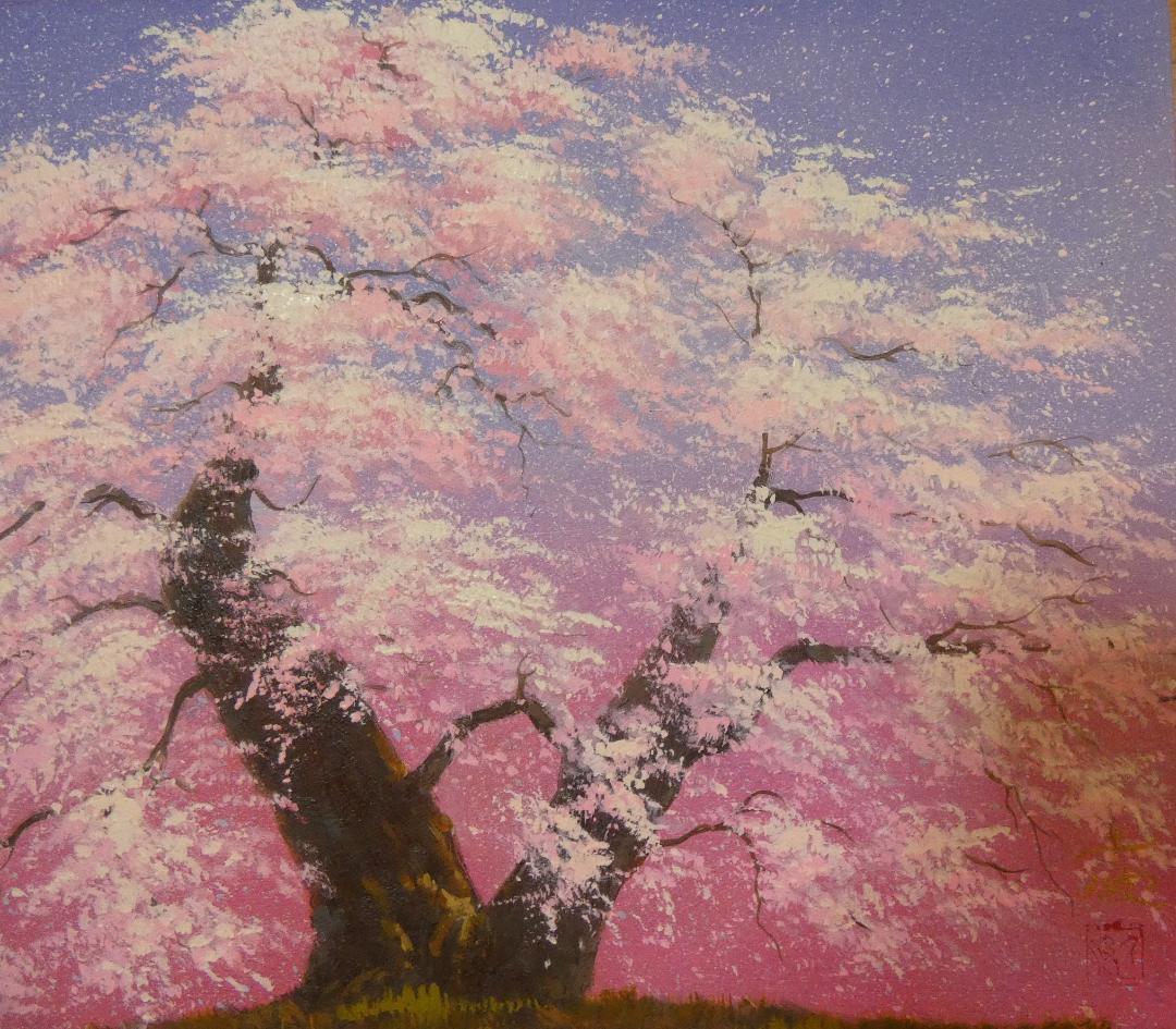 絵画　 油彩　中島千波「滿开の桜」 サイン　F6サイズ　額装済み 肉筆手描き