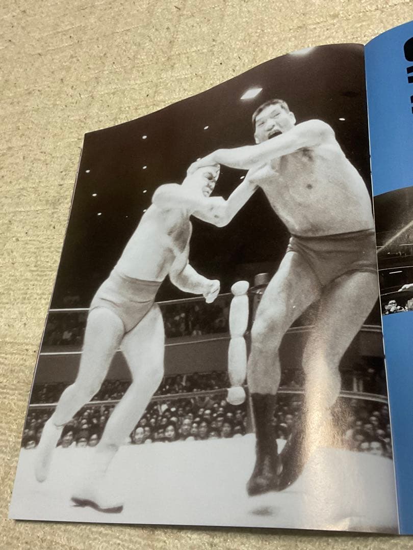 我が心のジャイアント馬場・完全保存版／日刊スポーツグラフ。【66頁　美品】