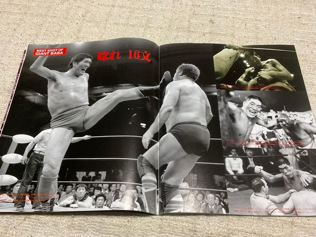 我が心のジャイアント馬場・完全保存版／日刊スポーツグラフ。【66頁　美品】