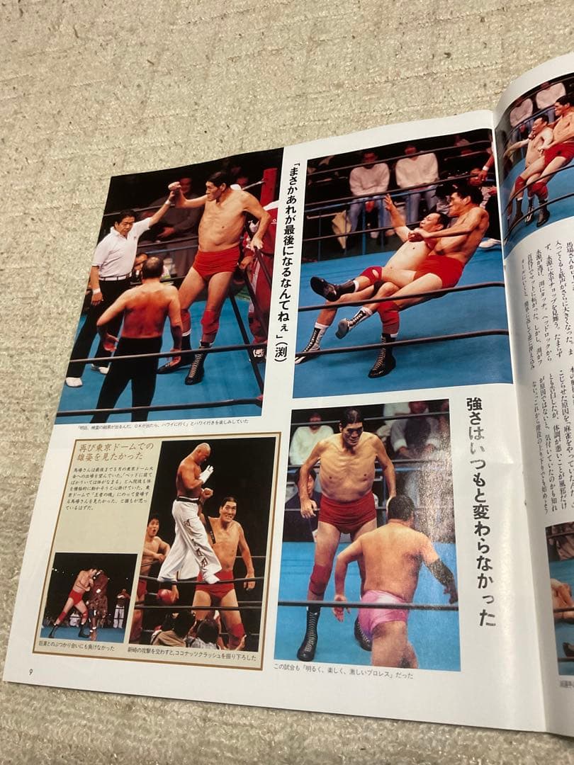 我が心のジャイアント馬場・完全保存版／日刊スポーツグラフ。【66頁　美品】