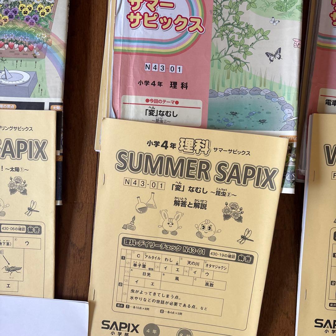 SAPIX小学4年　理科社会デイリーサピックス、春期夏期冬期講習セット
