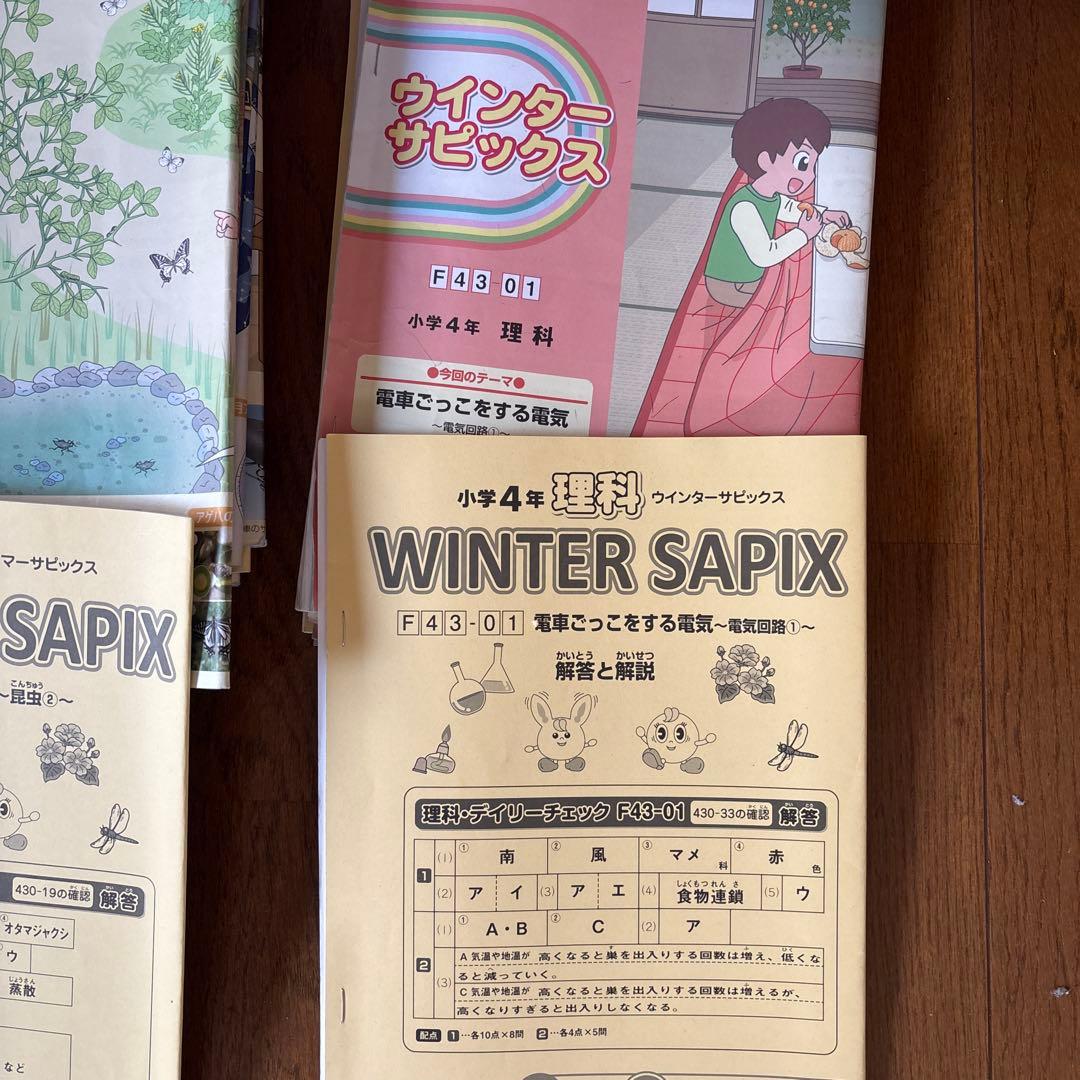 SAPIX小学4年　理科社会デイリーサピックス、春期夏期冬期講習セット