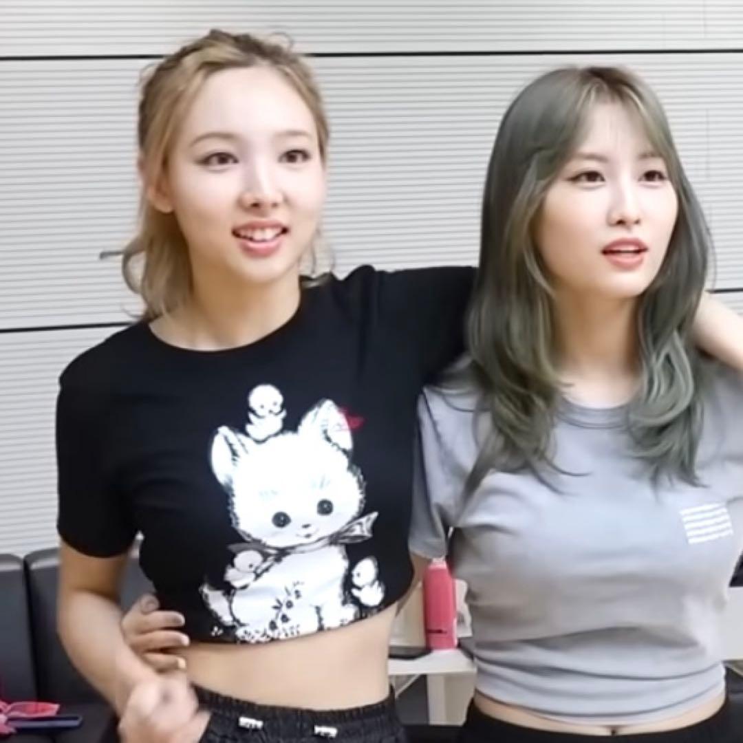 Vivienne Westwood Tシャツ 猫