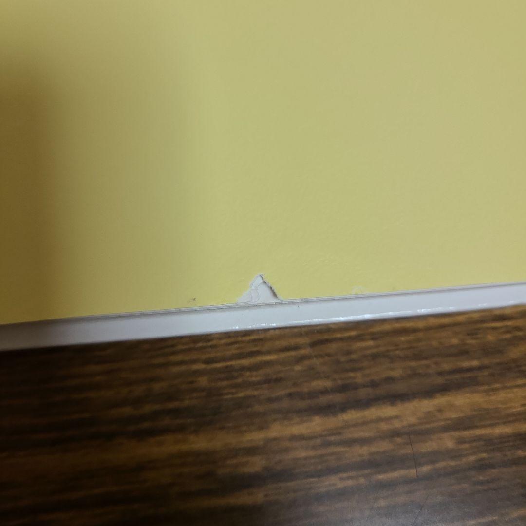 絵本49冊まとめ売り　MK11290むぎむぎ