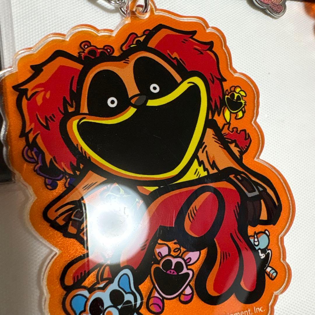 ドッグデイセット