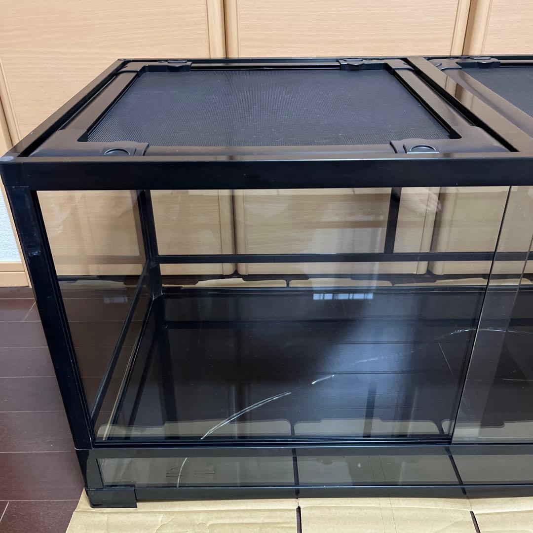 REPTI WILDパンテオン ブラック　BK9045