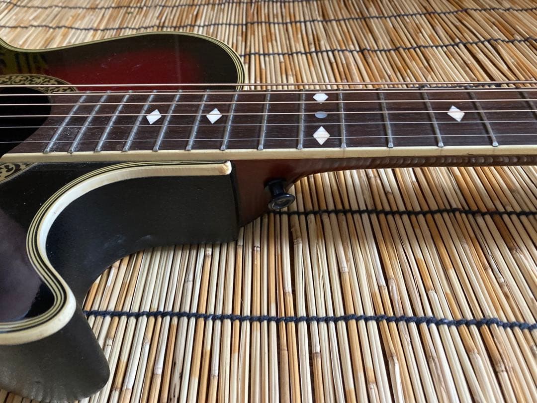 猫*様 ☆新年値下　アクティブコントローラを追加　エレアコ　Legend by