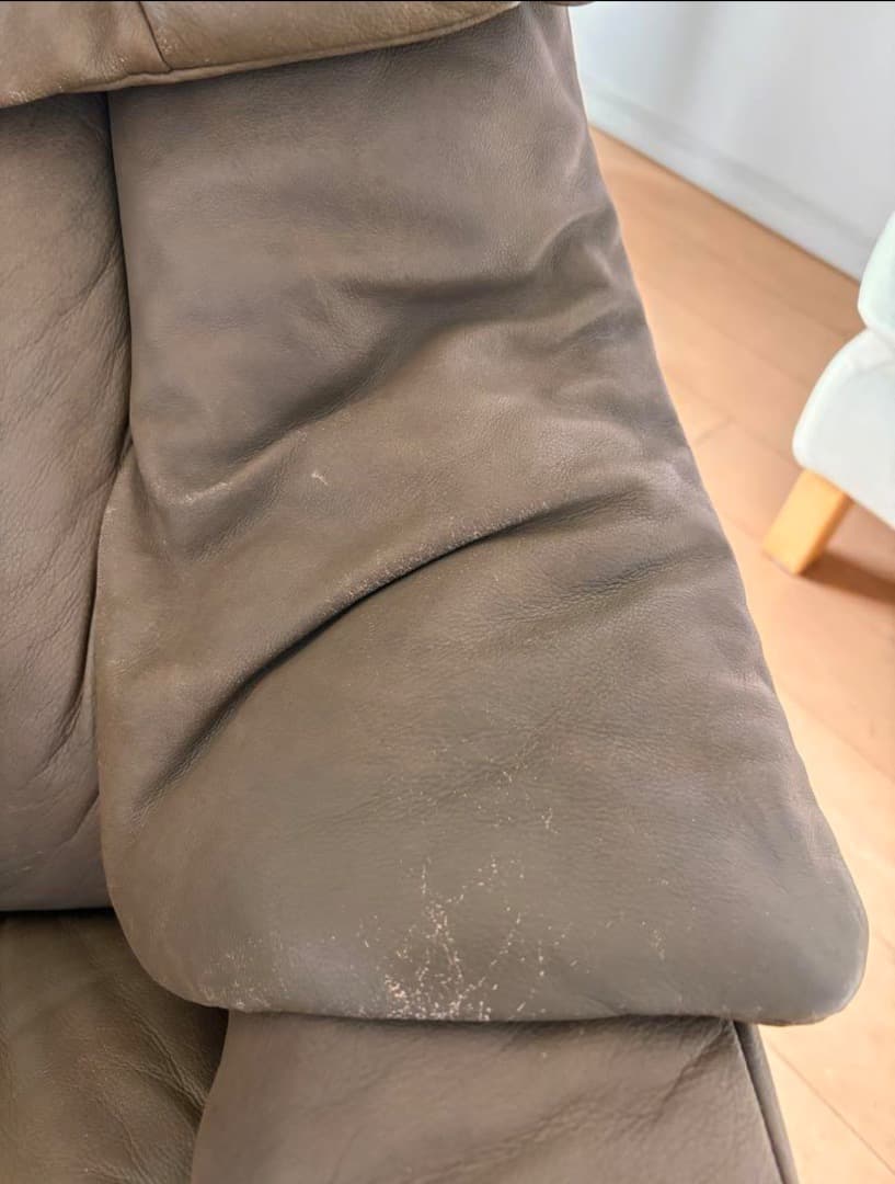 iwasaki.daisuke 本体のみ セット売り