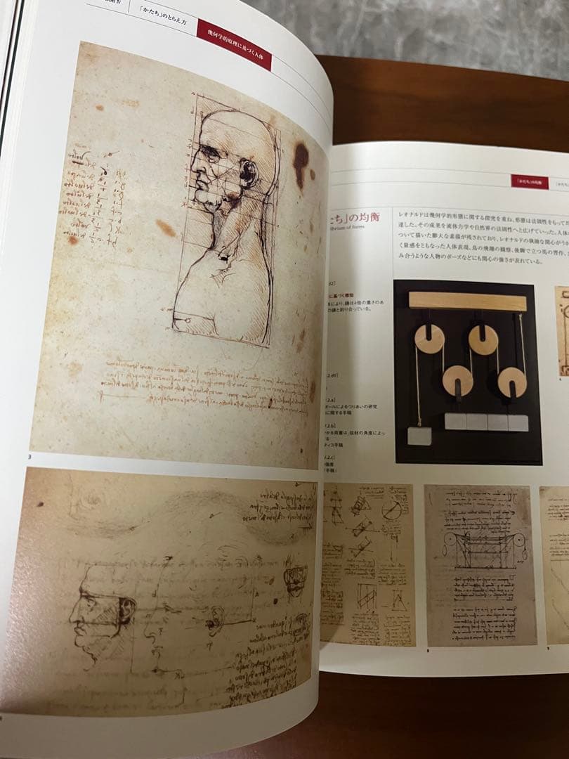 THE MIND OF LEONARDO ダ.ヴィンチの世界.保存版.美品