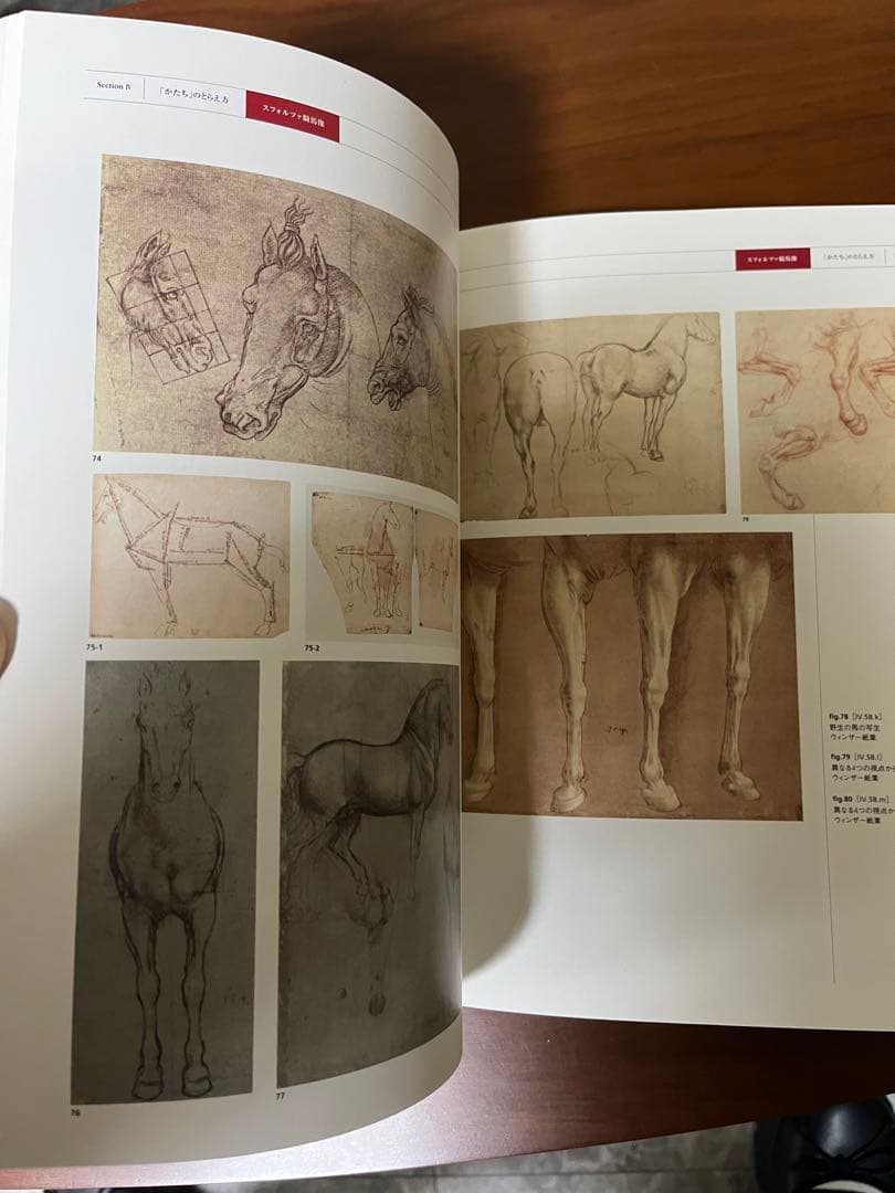 THE MIND OF LEONARDO ダ.ヴィンチの世界.保存版.美品