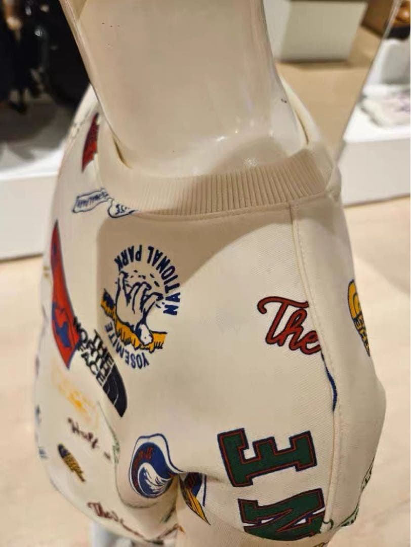 新品タグ付　ザノースフェイス　プリントワッペン　トレーナー　スウェット　120