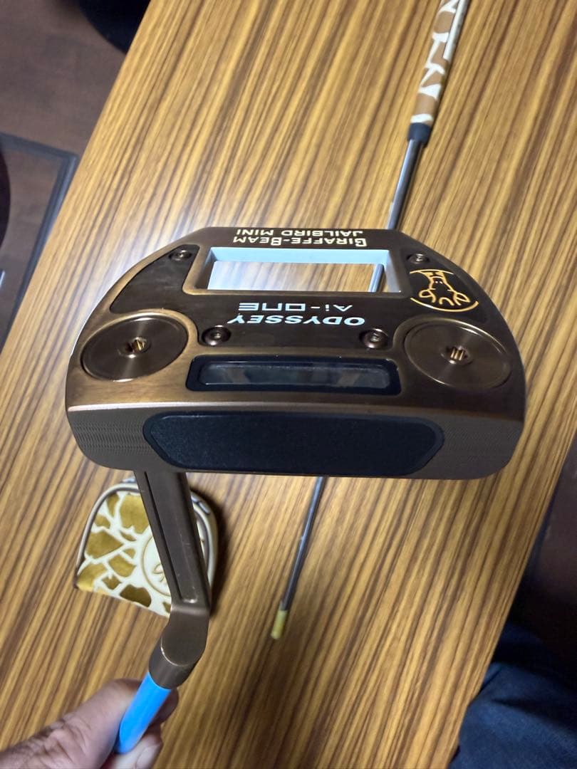 オデッセイ　ジラフビーム　ジェイルバードミニ　34インチ　KBSカーボンシャフト
