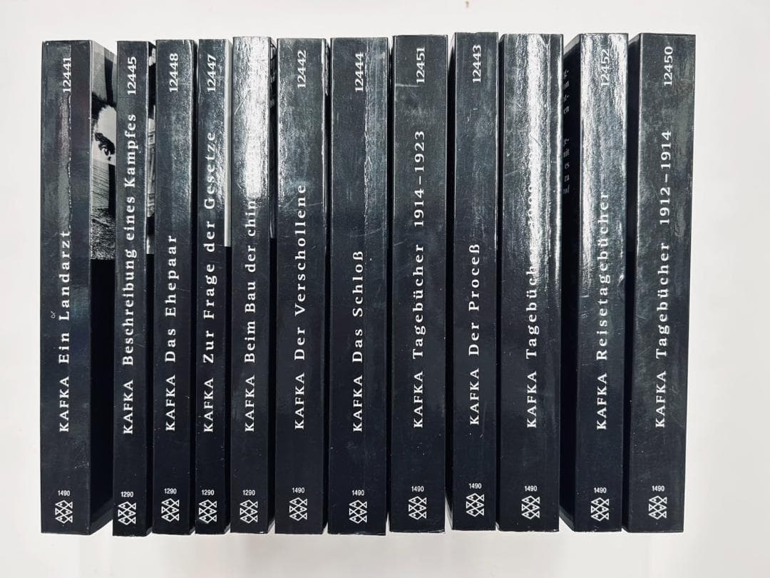 洋書 カフカ全集 12冊セット FRANZ KAFKA Fischer ドイツ語