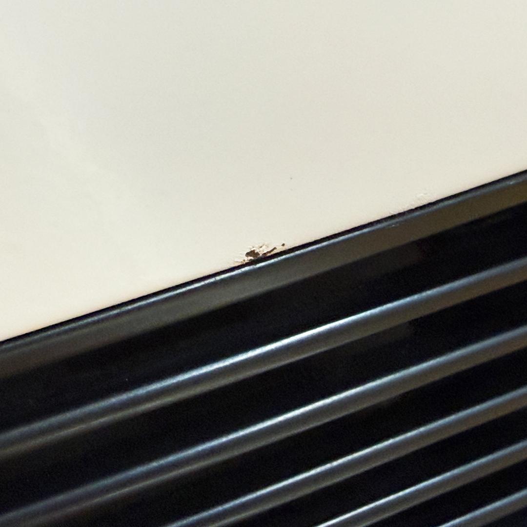 Rinnai ガスファンヒーター SRC-362E LPガス用