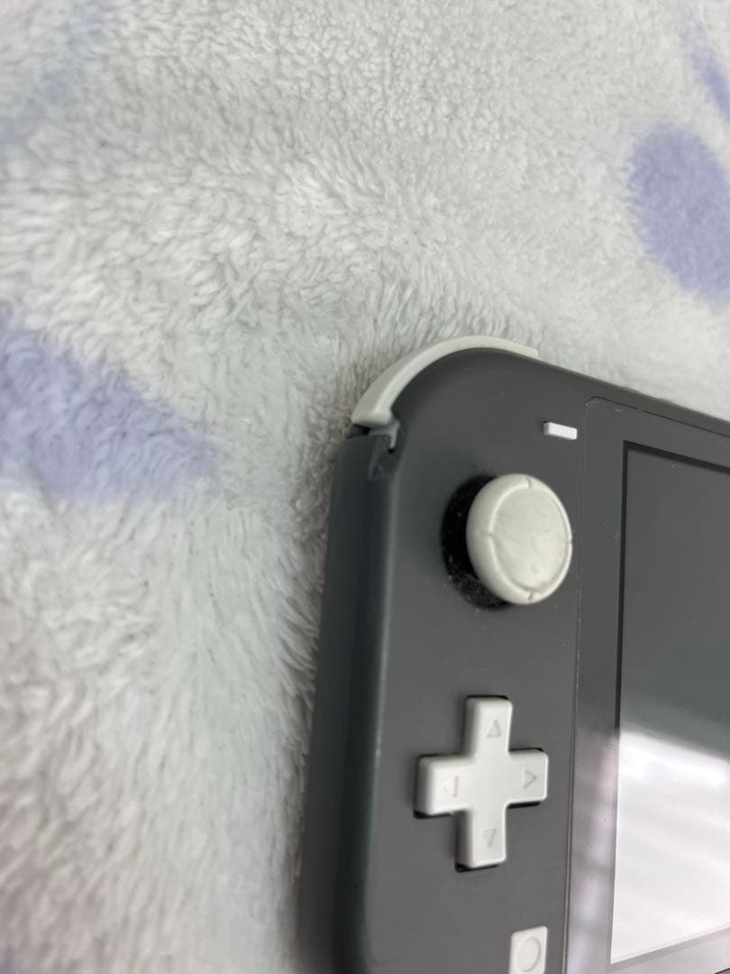 ジャンク Switch Lite グレー