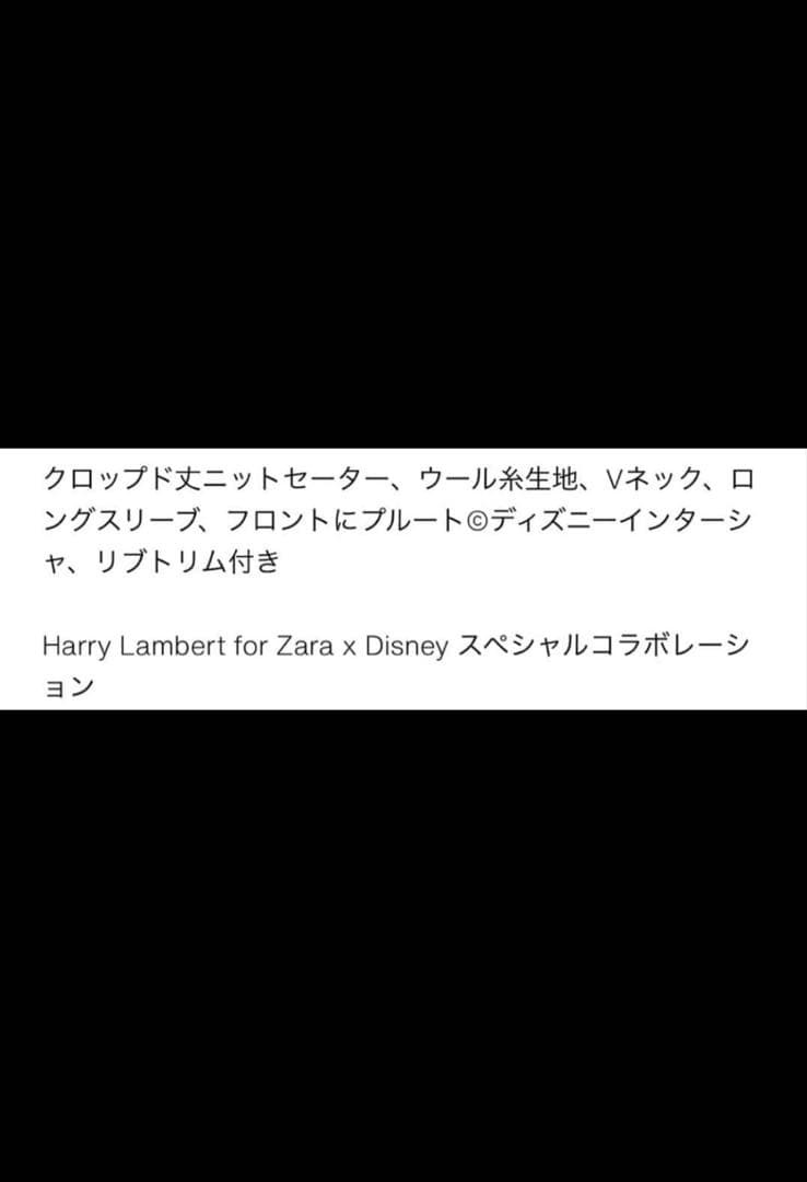 美品HARRYLAMBERT FOR ZARA×DISNEY プルートニットM