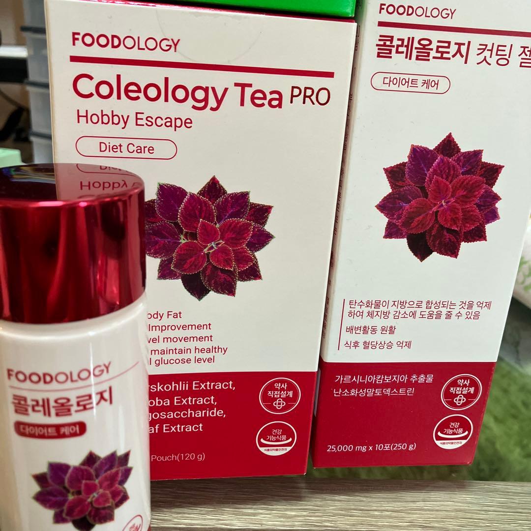 ダイエット　フードロジー