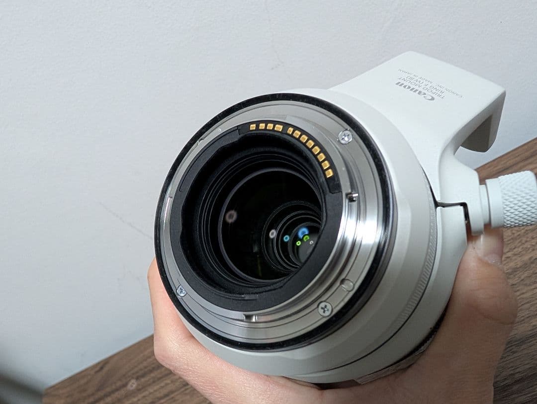 レンズ(ズーム) CANON RF100-500mm F4.5-7.1 L IS USM