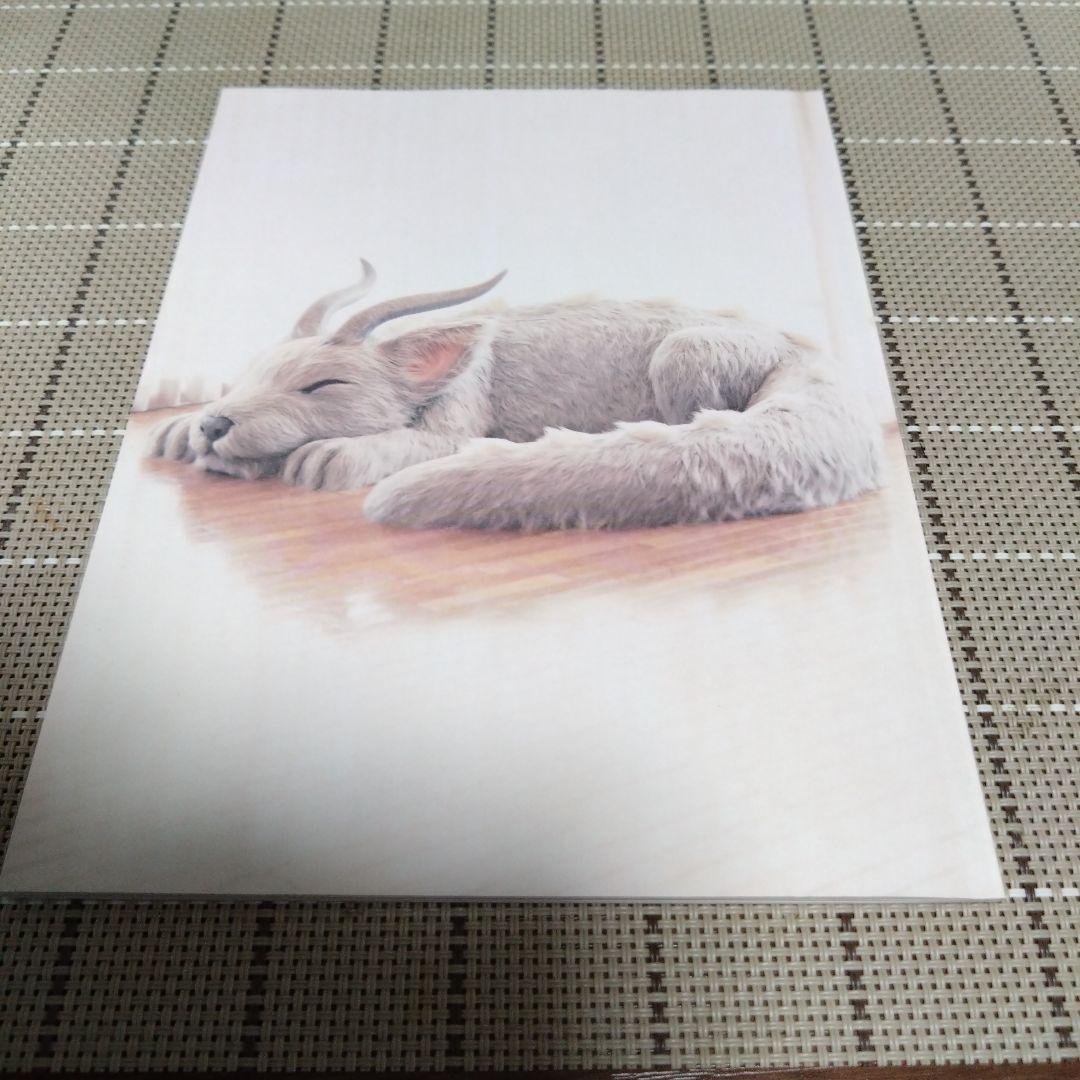 スピッツ　醒めない　デラックスエディション