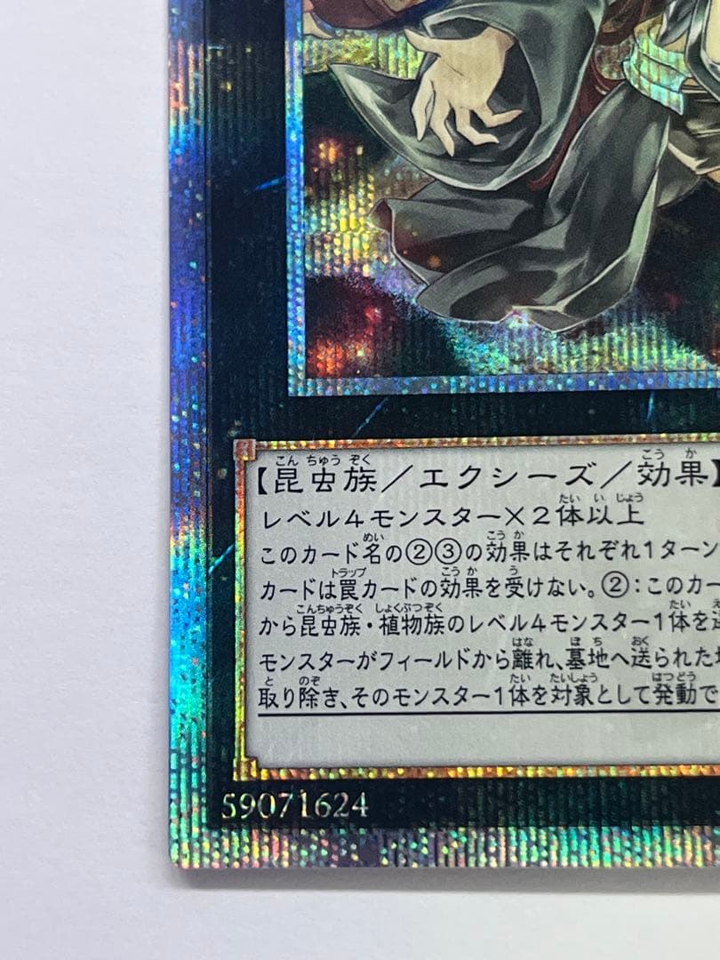 遊戯王　アロメルスの蟲惑魔　20th シークレット