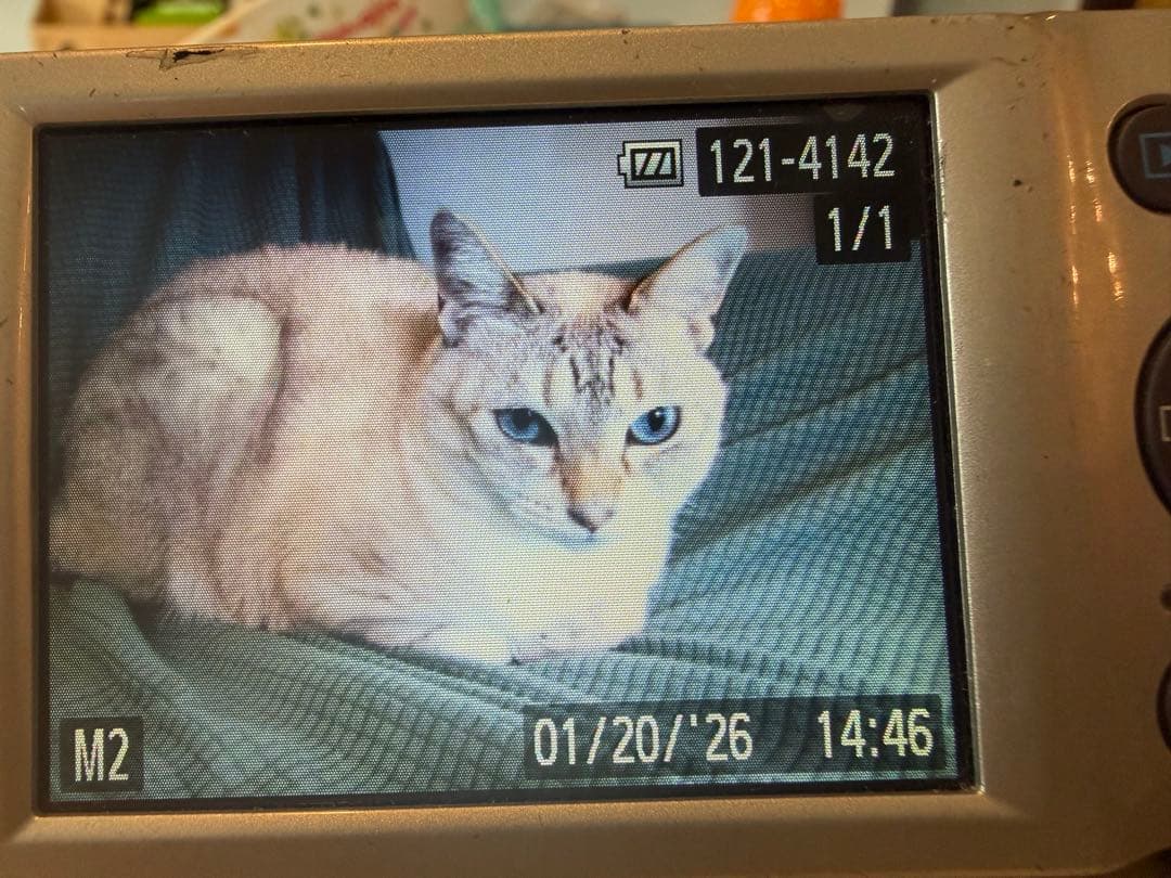 Canon IXY 180 コンパクトデジタルカメラ