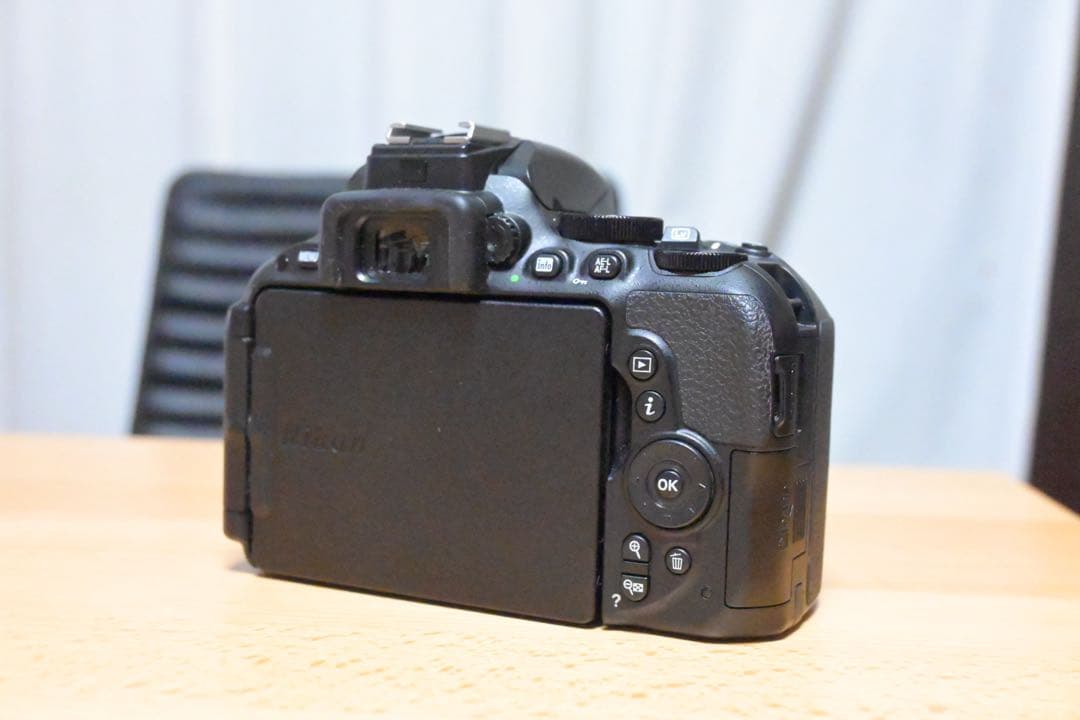 Nikon D5500 バッテリー付き　総ショット数5500回　おまけレンズ可能