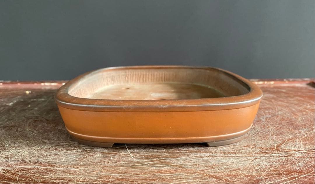 白木盆栽園　峰輝堂　盆栽鉢　横24.3センチ　鉢和鉢盆栽趣味陶器盆器植木鉢