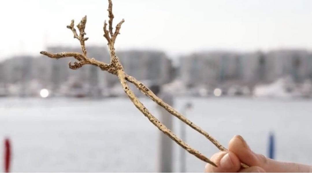 美品　PLUIE コーラルワンド　かんざし　ゴールド