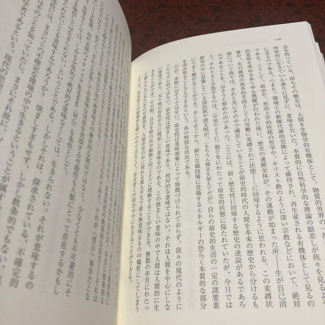 歴史哲学についての異端的論考